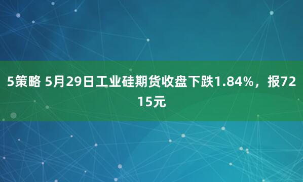5策略 5月29日工业硅期货收盘下跌1.84%，报7215元