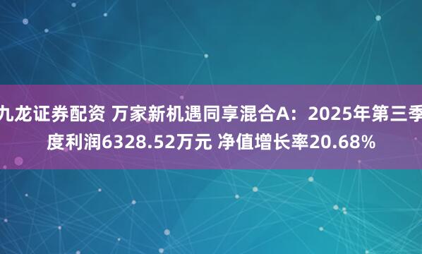九龙证券配资 万家新机遇同享混合A：2025年第三季度利润6328.52万元 净值增长率20.68%