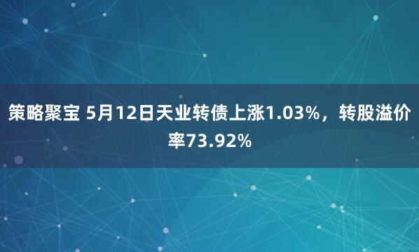 策略聚宝 5月12日天业转债上涨1.03%，转股溢价率73.92%
